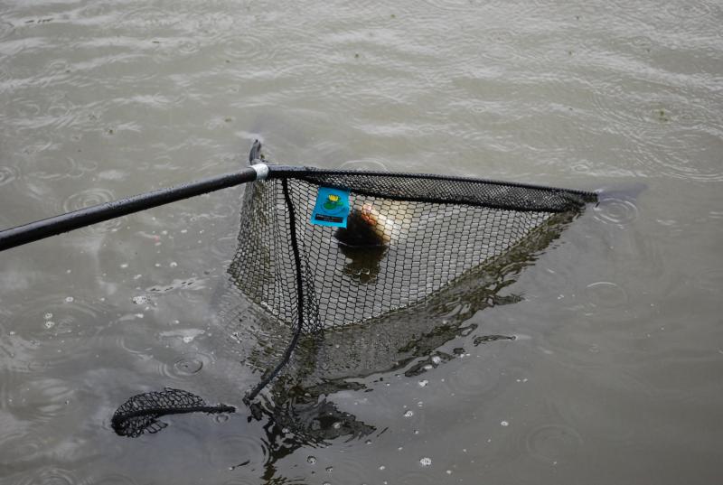 Manor Farm Coarse Fishing Anglers of the Future (27).jpg